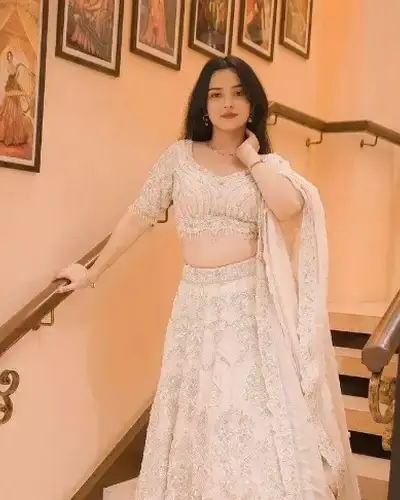 Escort Ambagarh